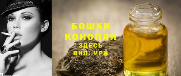 эйфоретик Арсеньев