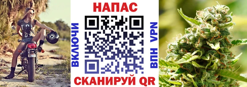 Каннабис сатива Сарапул